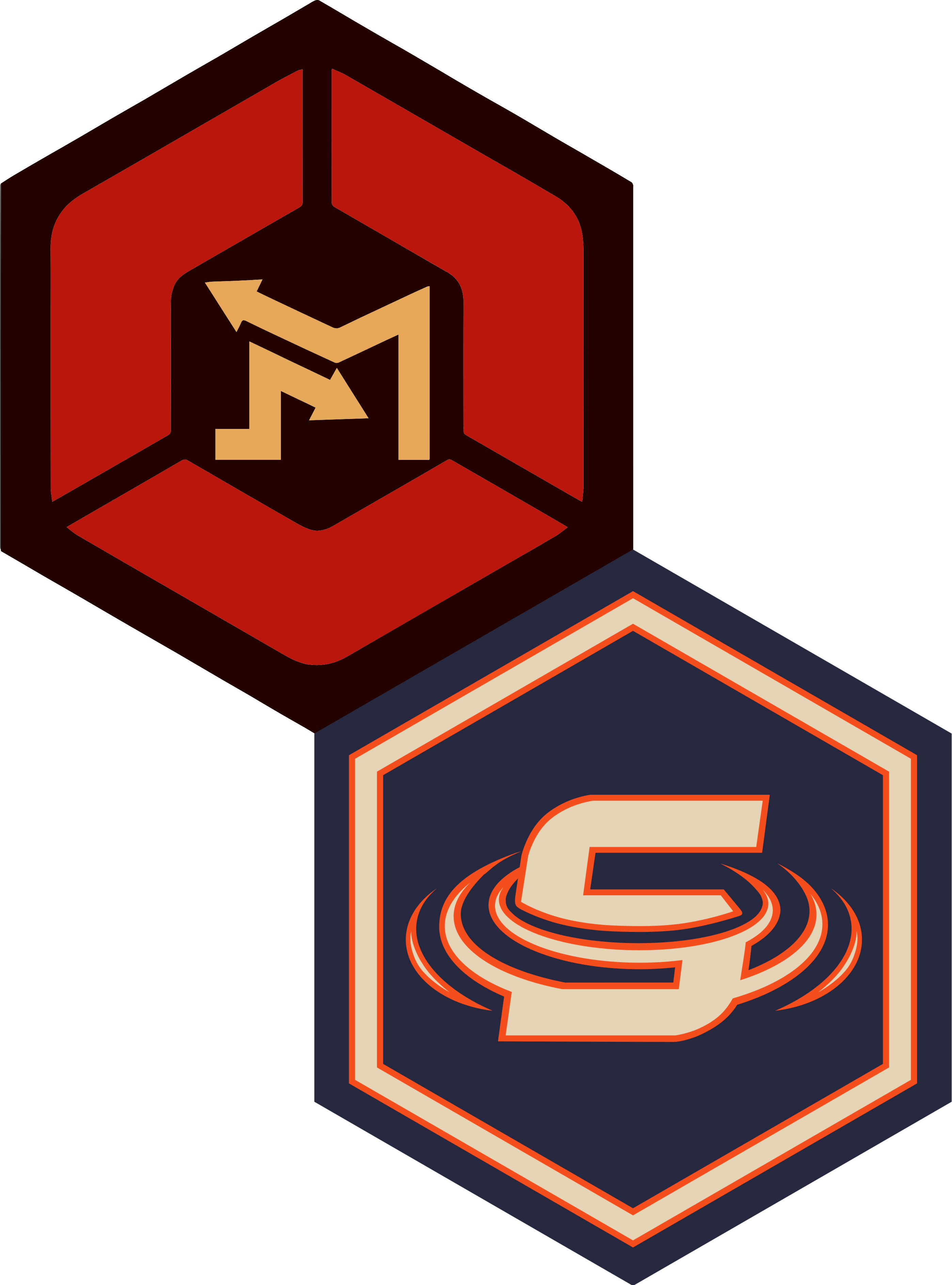 SKN MOTION & MSKN SENSO